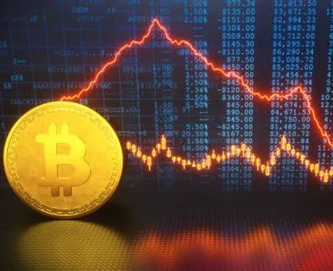 Profit Capital AI - Control Your Transactions with Profit Capital AI